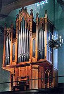 fisk organ 5 fisk organ 5